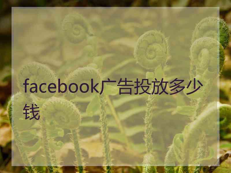 facebook广告投放多少钱