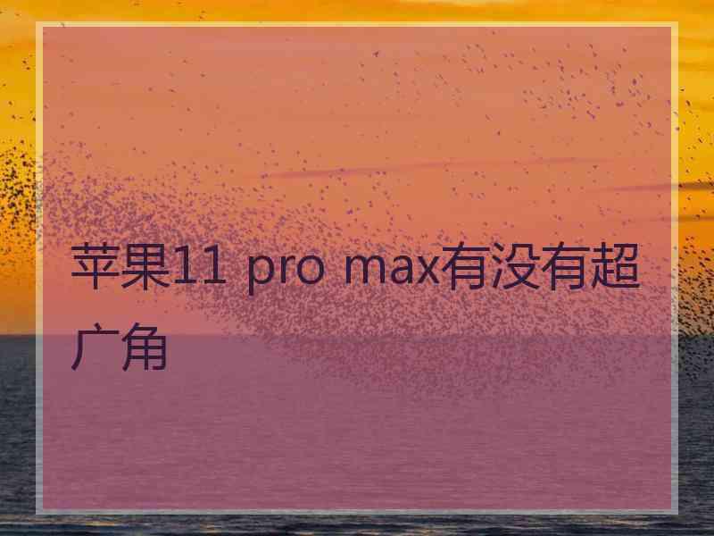 苹果11 pro max有没有超广角