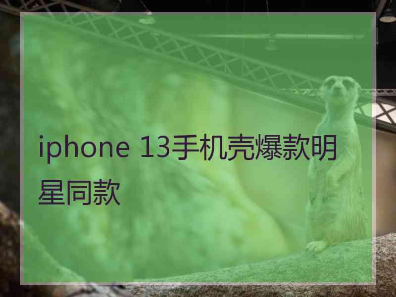 iphone 13手机壳爆款明星同款