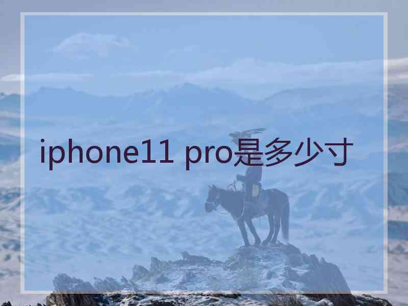 iphone11 pro是多少寸