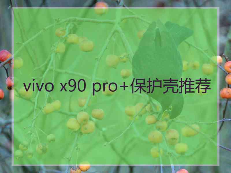 vivo x90 pro+保护壳推荐