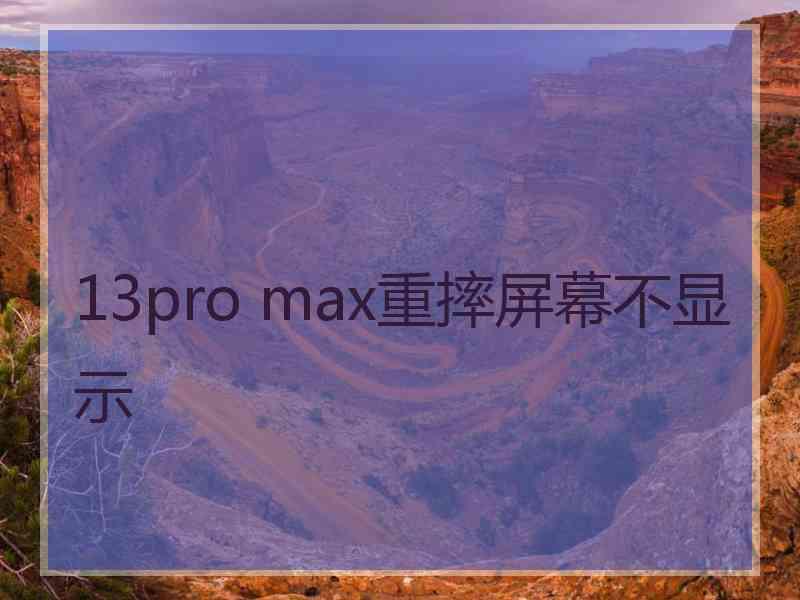 13pro max重摔屏幕不显示