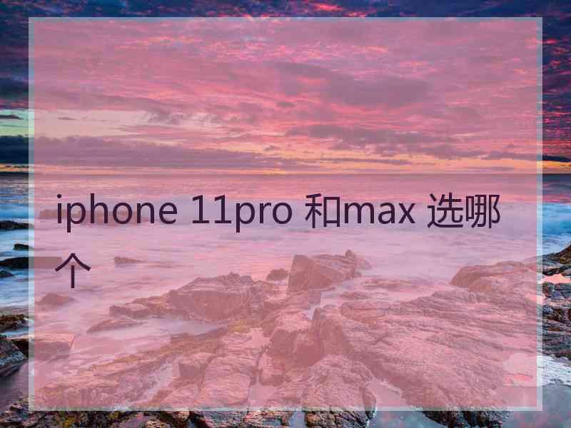 iphone 11pro 和max 选哪个