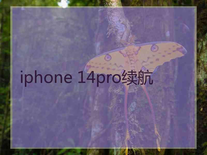 iphone 14pro续航