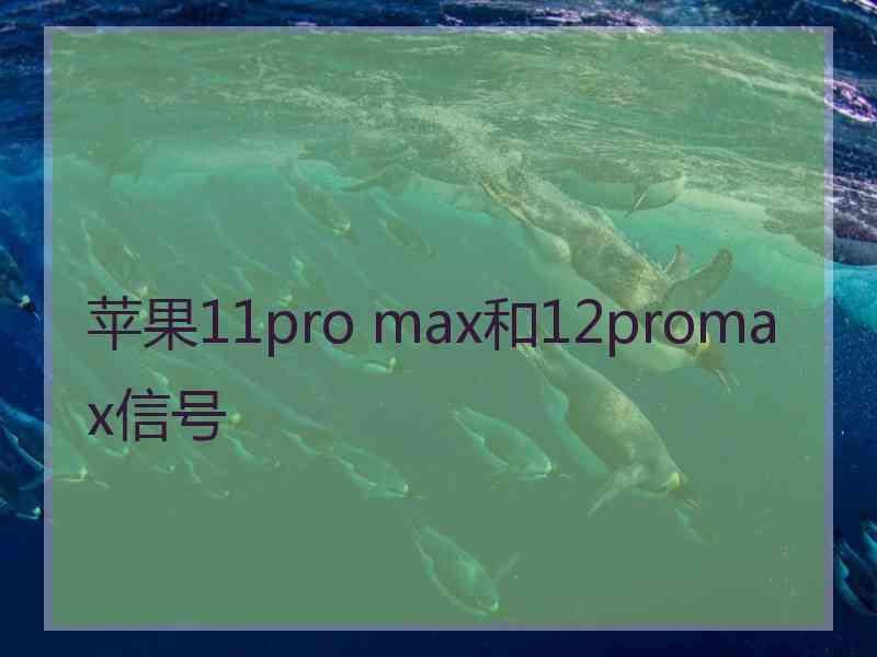 苹果11pro max和12promax信号