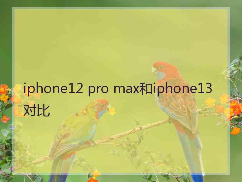 iphone12 pro max和iphone13对比