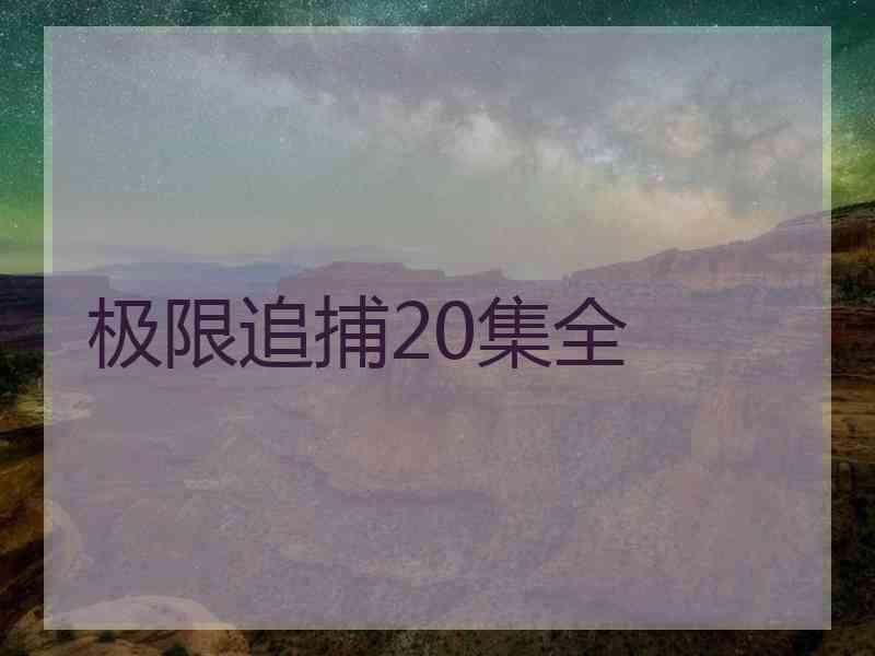 极限追捕20集全