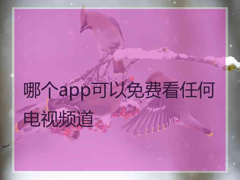 哪个app可以免费看任何电视频道