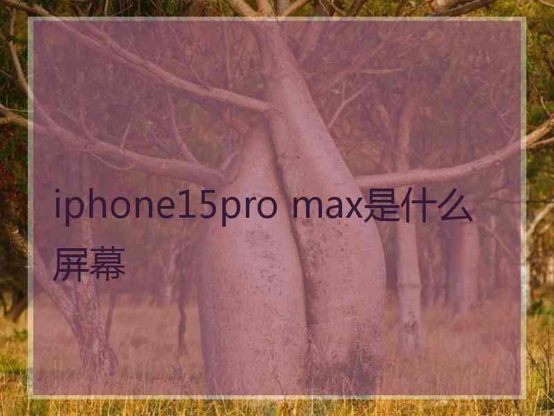 iphone15pro max是什么屏幕