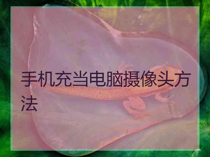 手机充当电脑摄像头方法