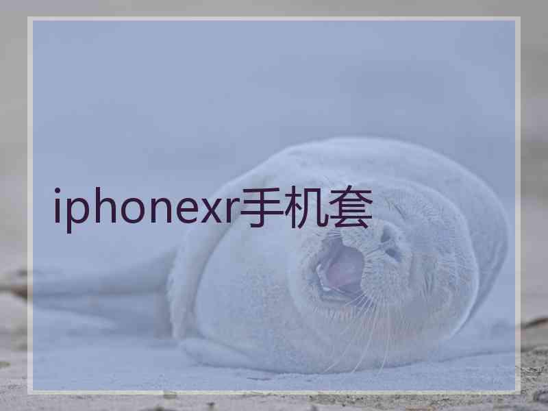 iphonexr手机套