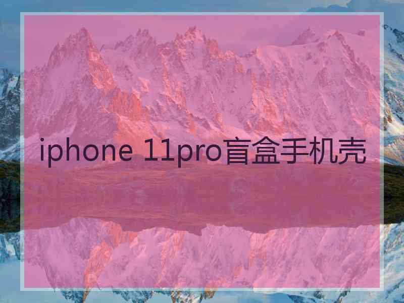 iphone 11pro盲盒手机壳