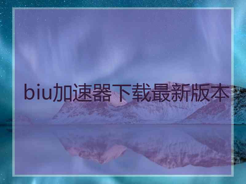 biu加速器下载最新版本