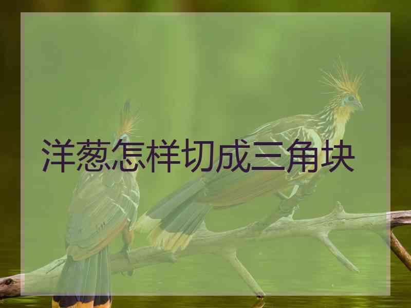 洋葱怎样切成三角块