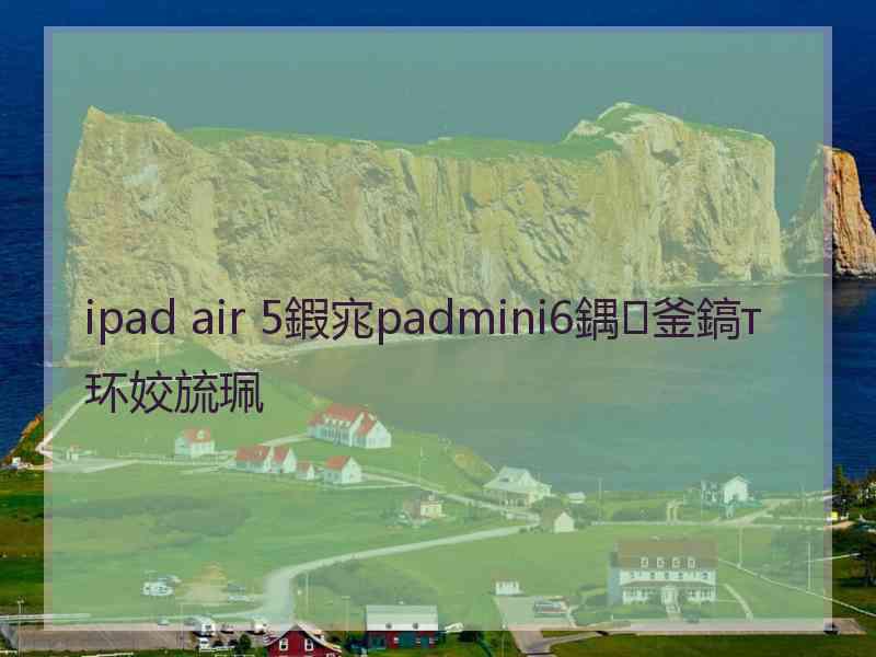 ipad air 5鍜宨padmini6鍝釜鎬т环姣旈珮