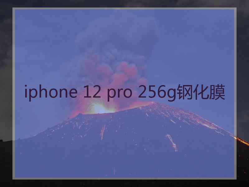 iphone 12 pro 256g钢化膜