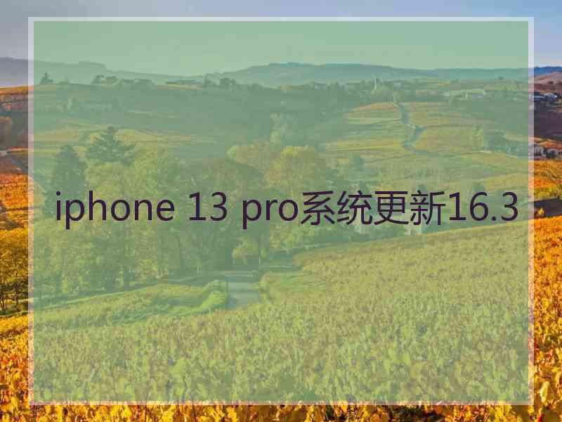 iphone 13 pro系统更新16.3