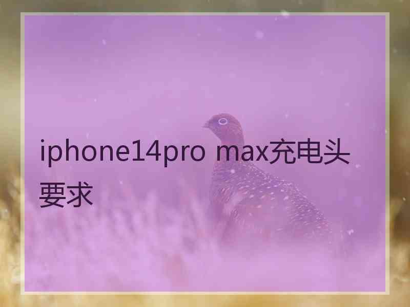 iphone14pro max充电头要求