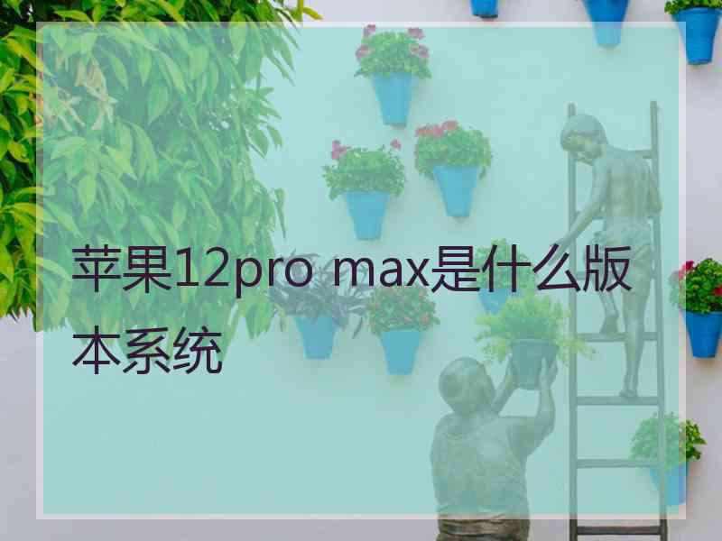 苹果12pro max是什么版本系统