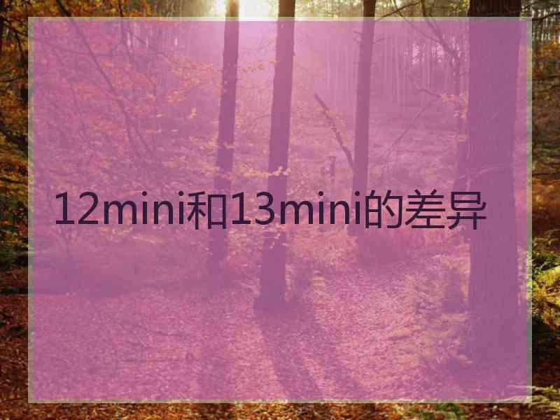 12mini和13mini的差异