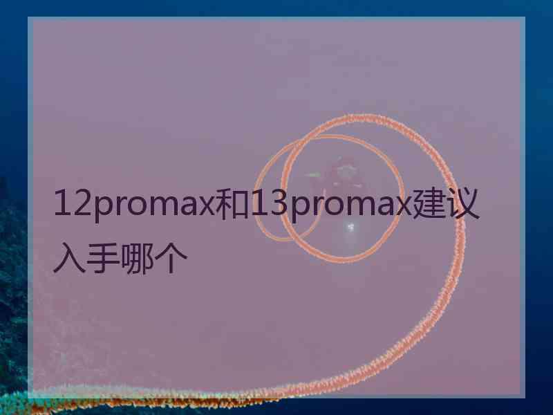 12promax和13promax建议入手哪个