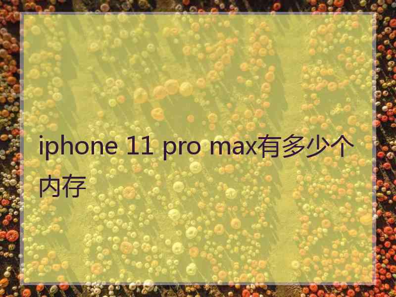 iphone 11 pro max有多少个内存