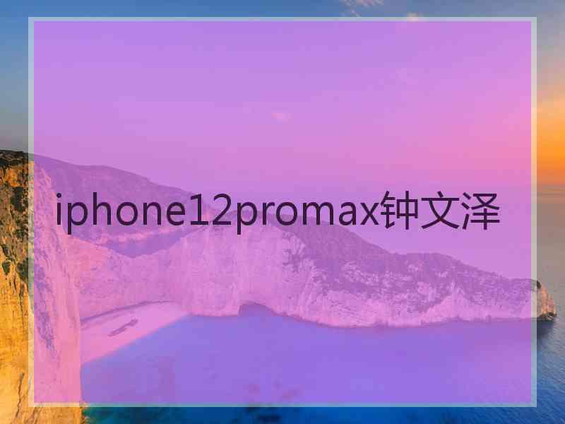 iphone12promax钟文泽