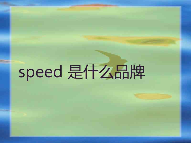 speed 是什么品牌