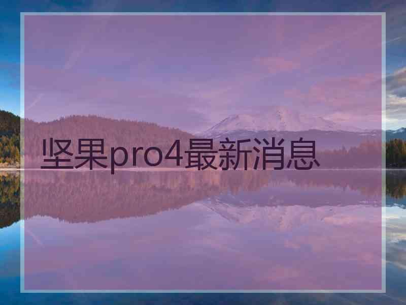 坚果pro4最新消息