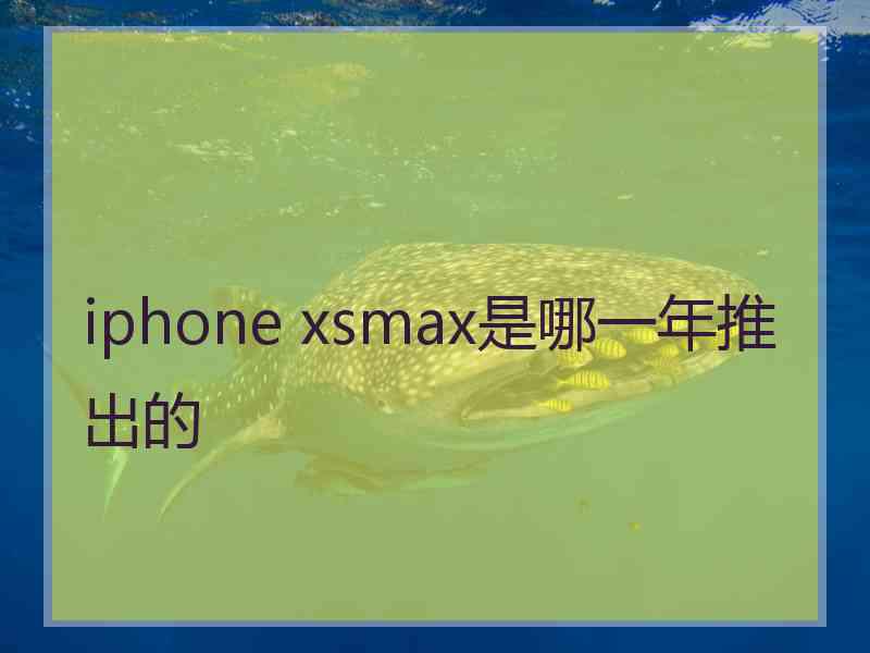 iphone xsmax是哪一年推出的