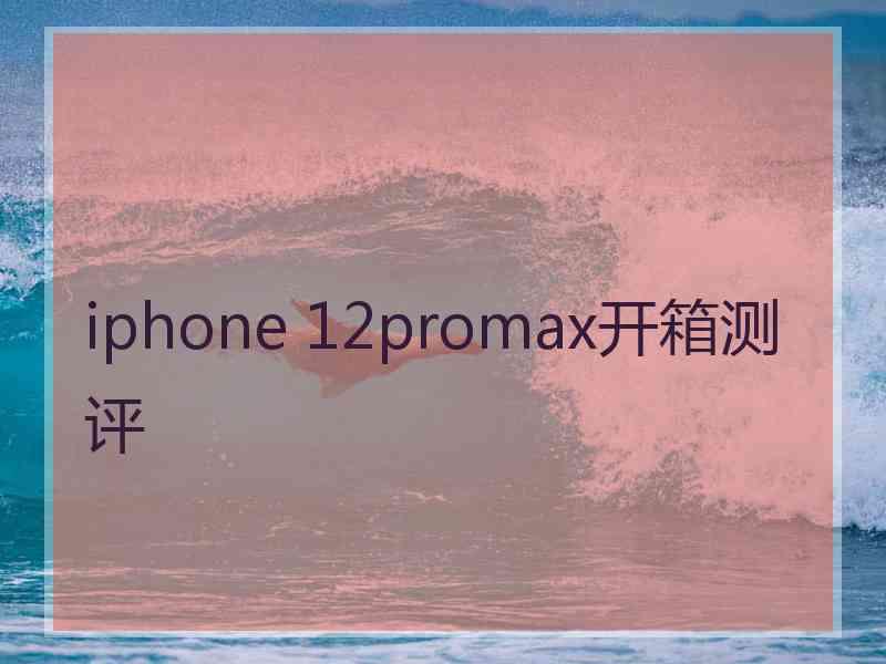 iphone 12promax开箱测评