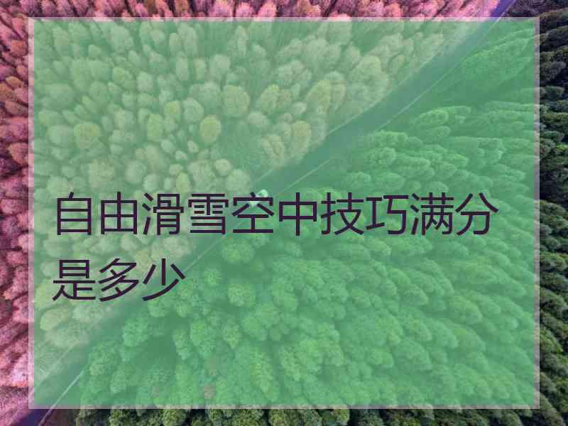 自由滑雪空中技巧满分是多少