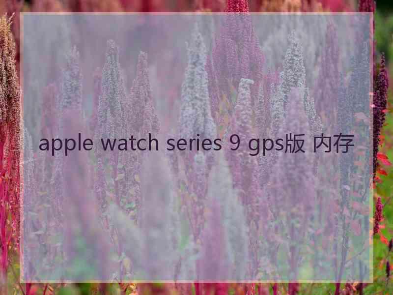 apple watch series 9 gps版 内存