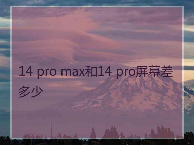 14 pro max和14 pro屏幕差多少