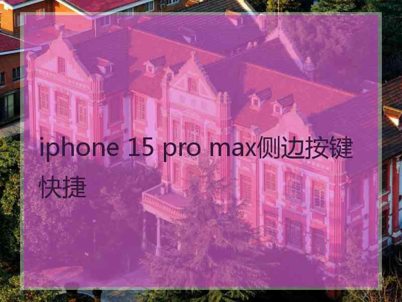 iphone 15 pro max侧边按键 快捷