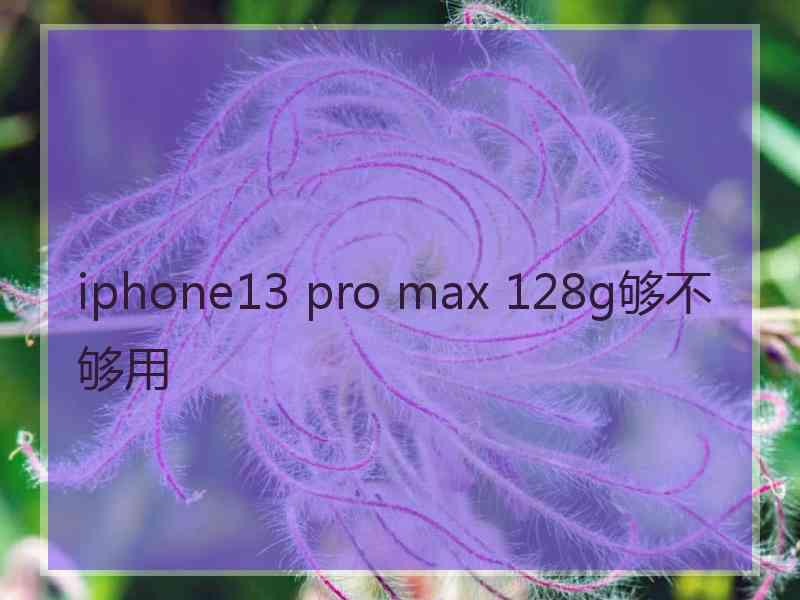 iphone13 pro max 128g够不够用