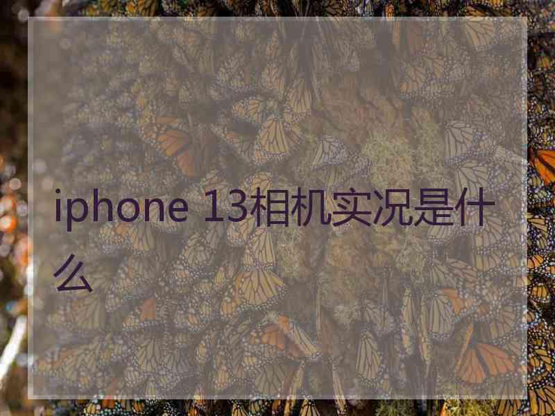 iphone 13相机实况是什么