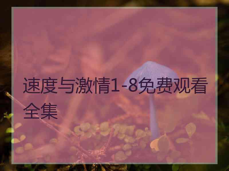 速度与激情1-8免费观看全集