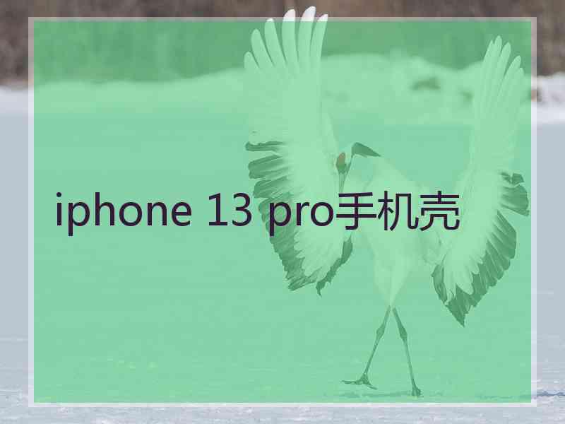 iphone 13 pro手机壳