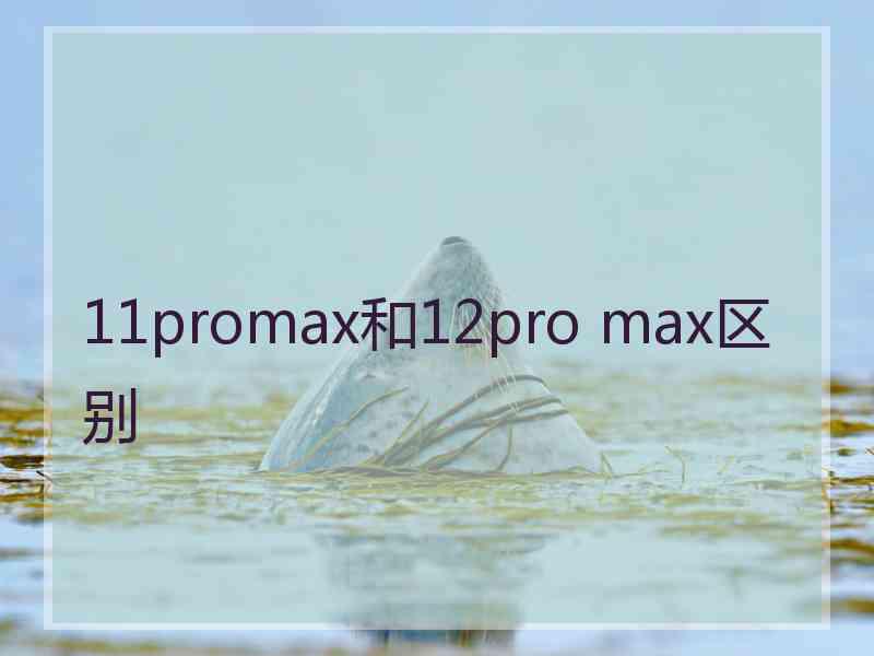 11promax和12pro max区别