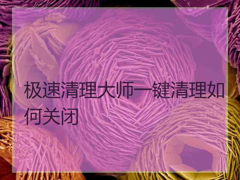 极速清理大师一键清理如何关闭