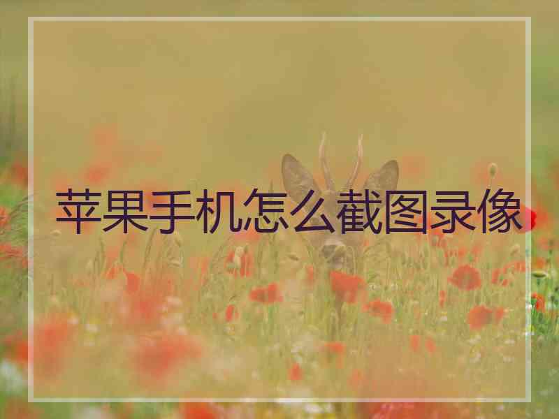 苹果手机怎么截图录像