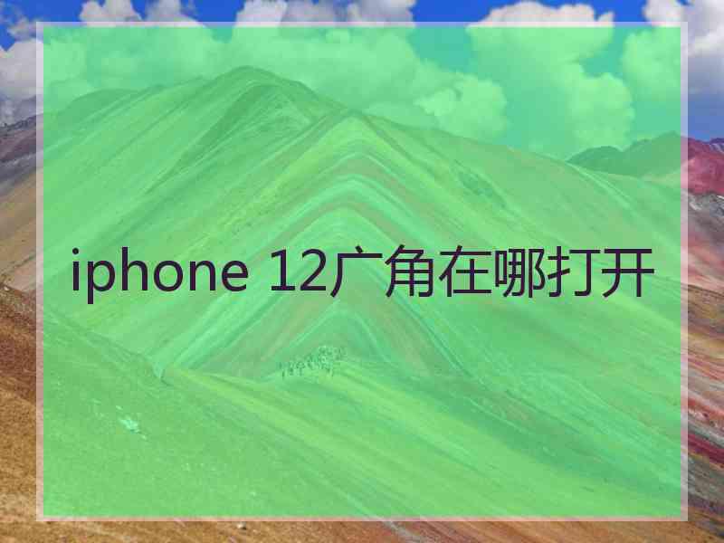 iphone 12广角在哪打开