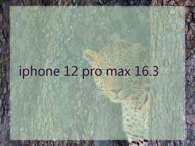 iphone 12 pro max 16.3