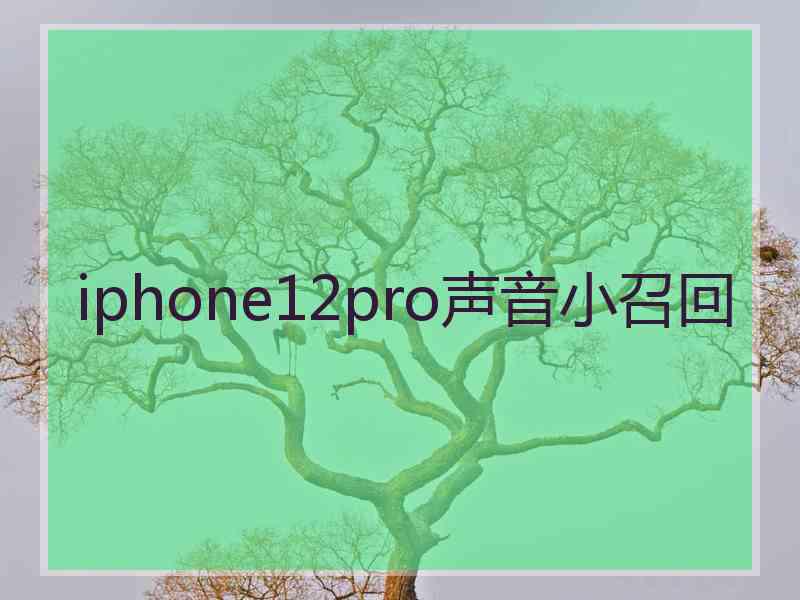 iphone12pro声音小召回