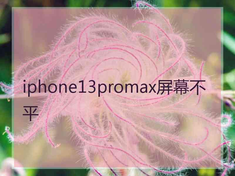 iphone13promax屏幕不平