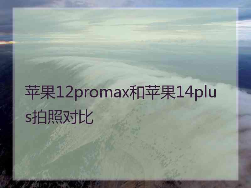 苹果12promax和苹果14plus拍照对比