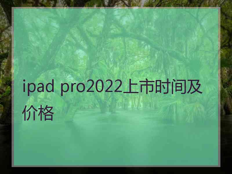 ipad pro2022上市时间及价格