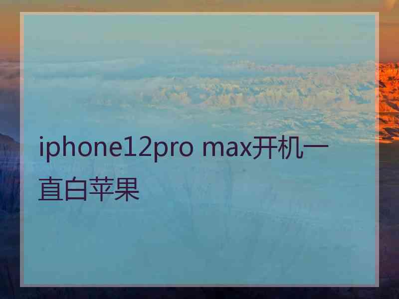 iphone12pro max开机一直白苹果