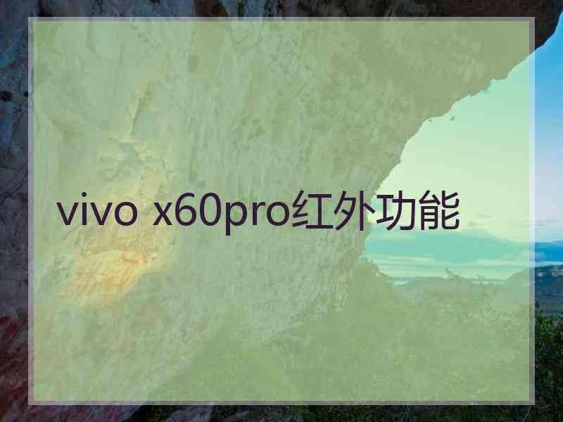 vivo x60pro红外功能